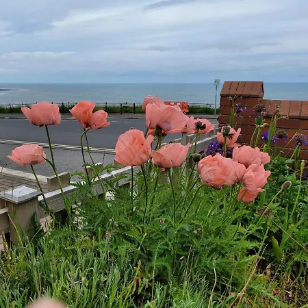 Seaside Ground Floor Flat Wifi & Free Parking Apartment *